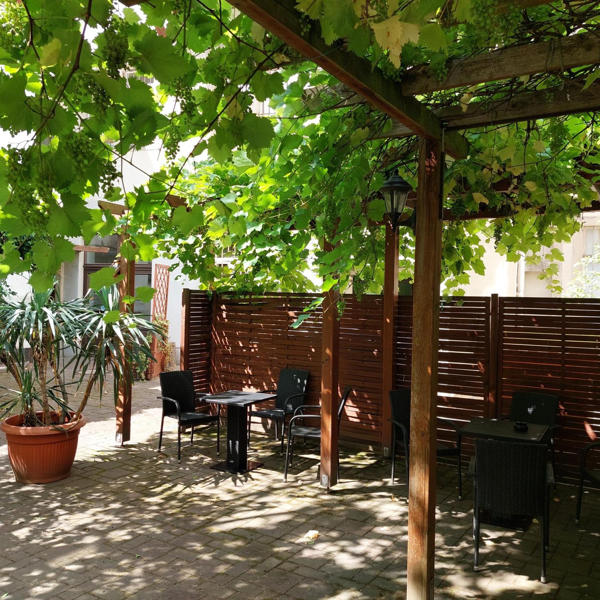 Ferienwohnung Weisses Ross Pirna Exterior photo